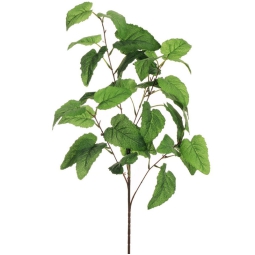 RAMO SALVIA H87CM VERDE