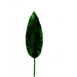 FOGLIA BIRDOFPARADISE    96CM VERDE