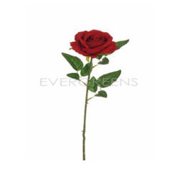 FIORE ROSA VELVET 63CM   ROSSA CAROLINA