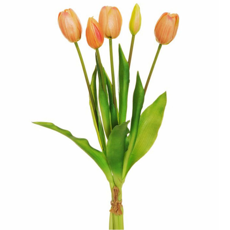 BUNDLE TULIPANI H39CM    SALMONE