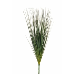 MAZZETTO STELI ERBA H50CM VERDE