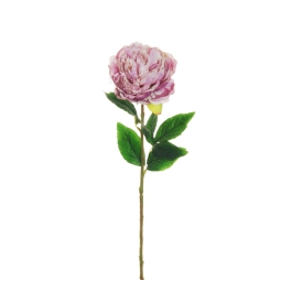 FIORE PEONIA H67CM  LILLA 80-374202