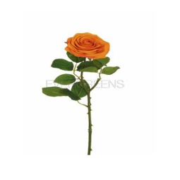 RAMO FIORE ROSA ECUADOR  H65CM ARANCIONE CHIARO