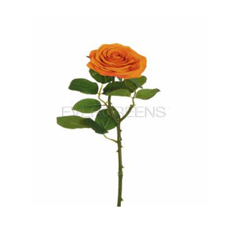 RAMO FIORE ROSA ECUADOR  H65CM ARANCIONE CHIARO