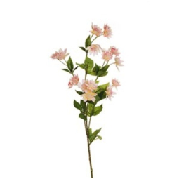 RAMO FIORE ASTRANTIA H76 CM ROSA