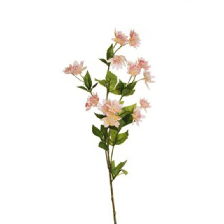 RAMO FIORE ASTRANTIA H76 CM ROSA