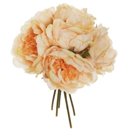 BOUQUET PEONIE H29CM     BEIGE CHIARO