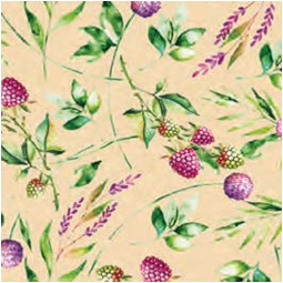 CARTA REGALO 70X100CM 10 FOGLI FANTASIA DIS.10