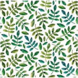 CARTA REGALO 70X100CM 10 FOGLI FANTASIA DIS.11