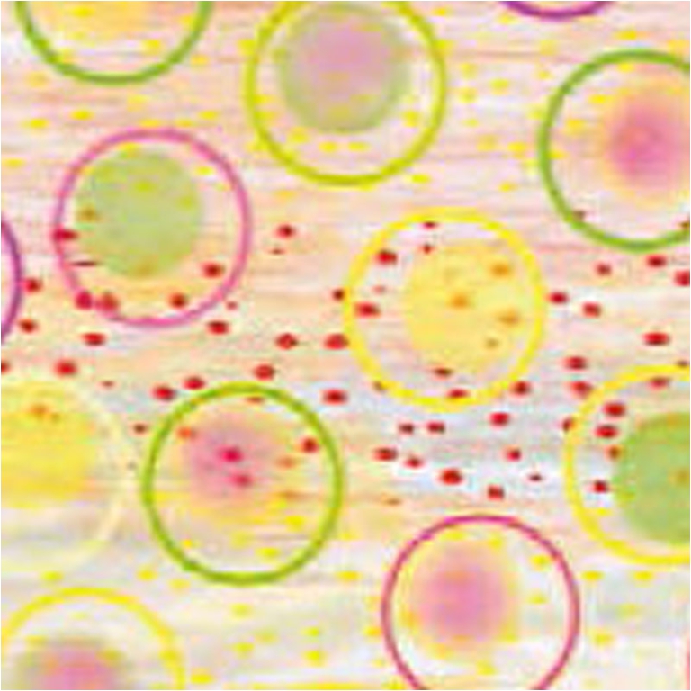 CARTA REGALO 70X100CM 10 FOGLI FANTASIA DIS.25