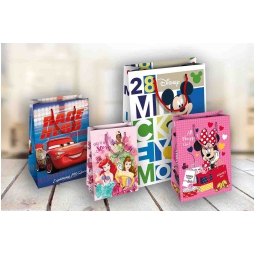 SHOPPERS 50X18X72 DISNEY