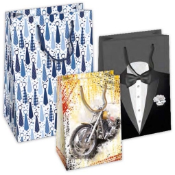 SHOPPER 25X12X35CM CARTA PLASTIFICATA 10PZ UOMO