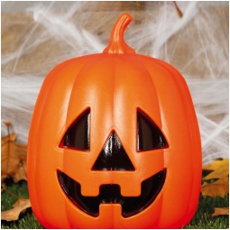 ZUCCA 27CM CON LUCE