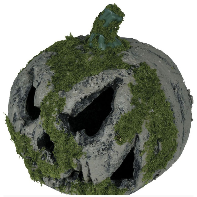 ZUCCA 20CM CON LUCE E    MUSCHIO 2