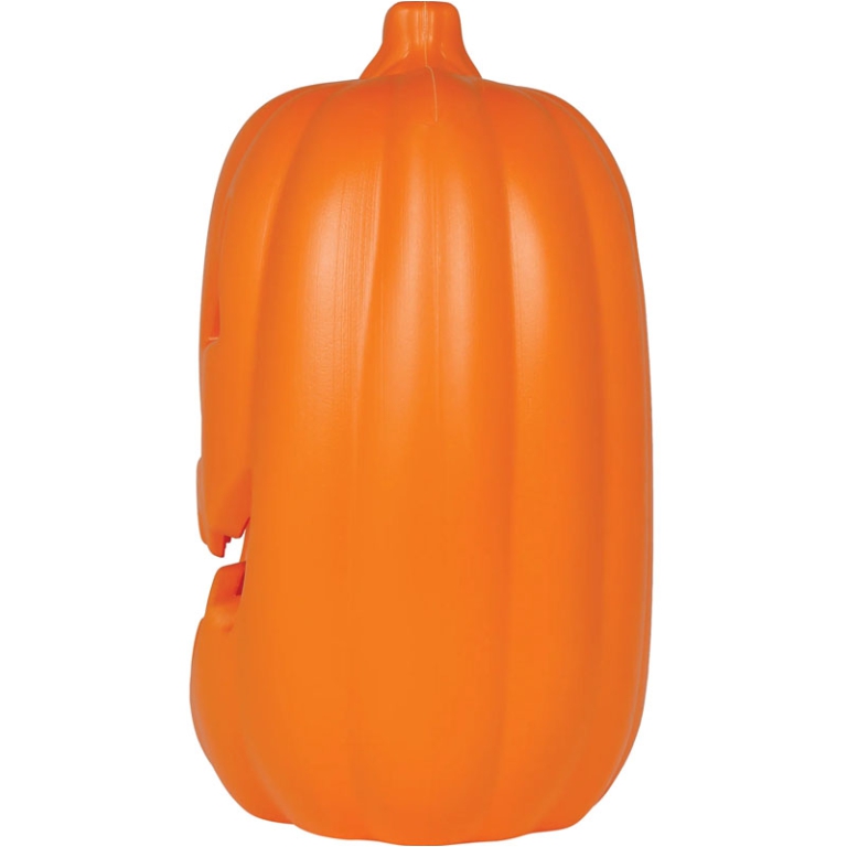 ZUCCA CON LUCE E SUONO   30X21CM 3