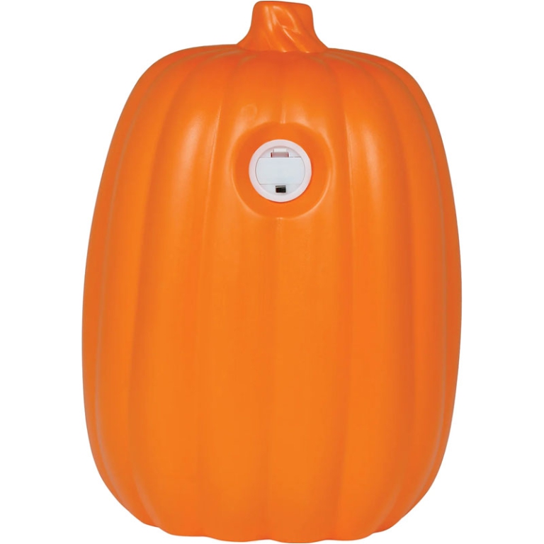 ZUCCA CON LUCE E SUONO   30X21CM 5