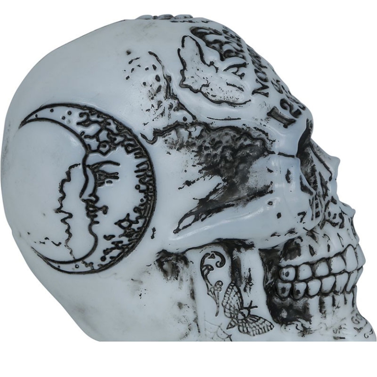TESCHIO DECORATO CON LUCE  20CM 3