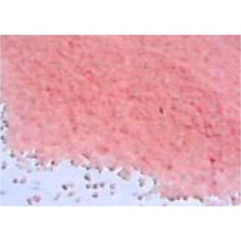 SABBIA 0,5MM 660GR 450ML ROSA IN BARATTOLO