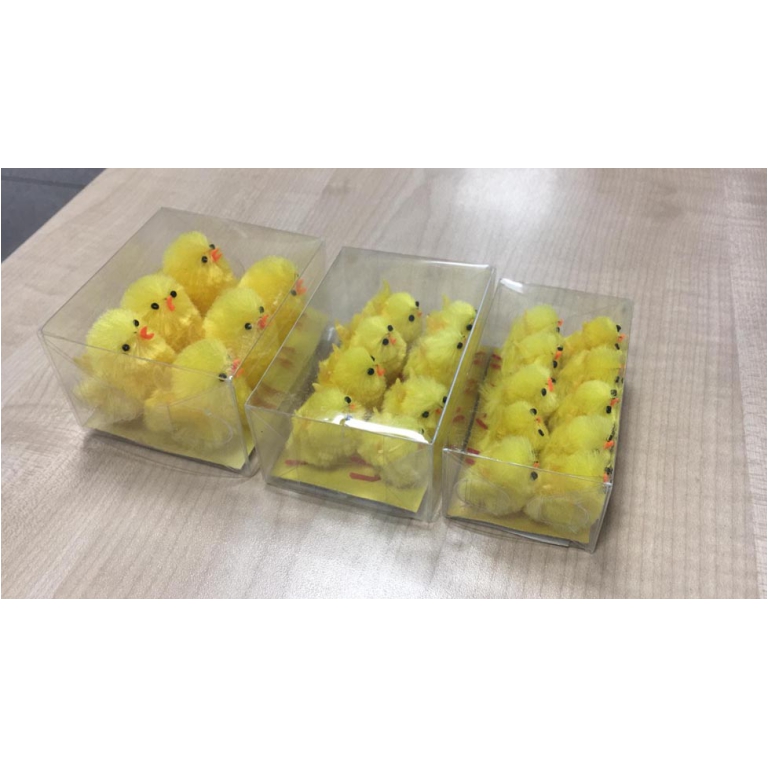 PULCINI 3 MISURE IN BOX  TRASPARENTE 2