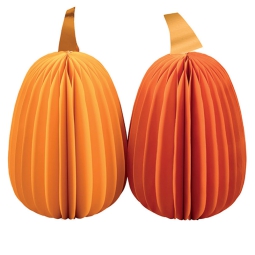 ZUCCHE IN CARTA 2 PEZZI 25CM COLORI ASSORTITI