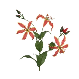 FIORE GLORIOSA 10X30H87CM ROSSO