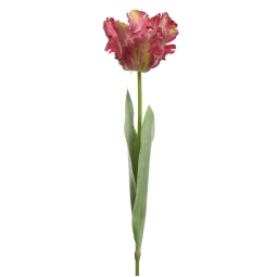 FIORE TULIPANO H68CM     FUCSIA