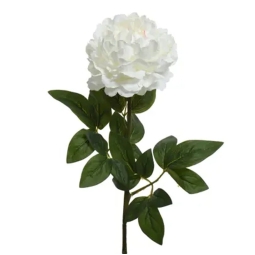 RAMO FIORE PEONIA H72CM  CREMA