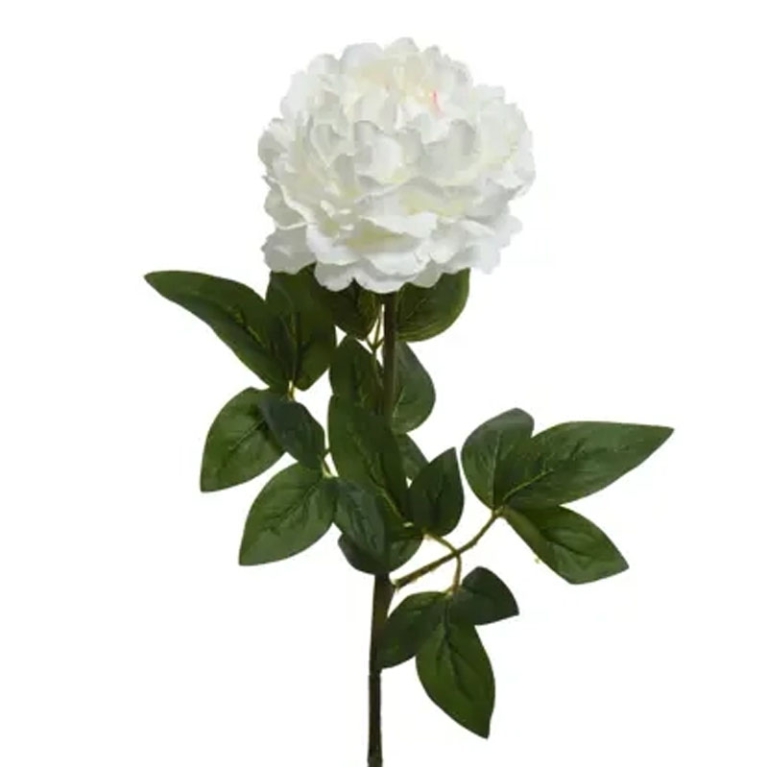 RAMO FIORE PEONIA H72CM  CREMA
