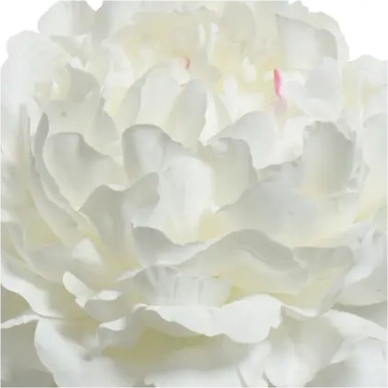 RAMO FIORE PEONIA H72CM  CREMA 2