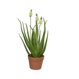 FIORE AGAVE D13H60CM VASO PLASTICA