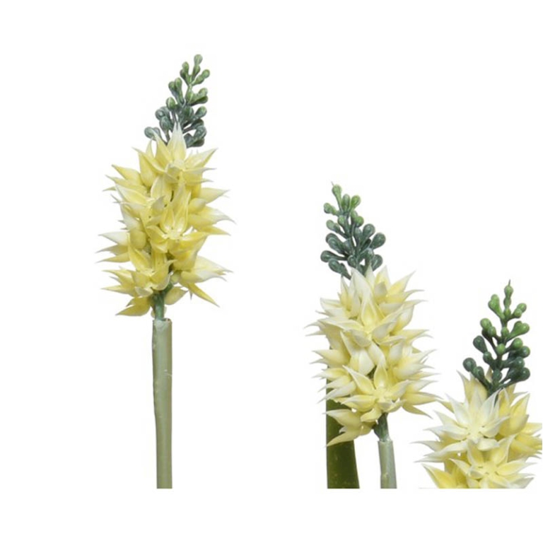 FIORE AGAVE D13H60CM VASO PLASTICA 2