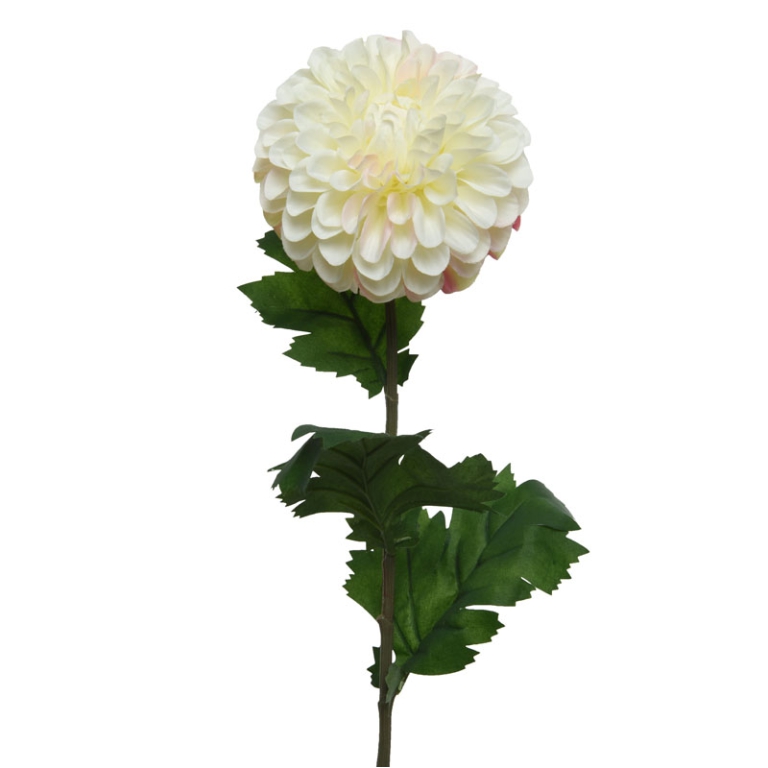 DHALIA FIORE H75CM CREMA