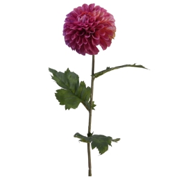 RAMO DHALIA D10H75CM     MAGENTA
