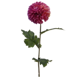 DHALIA FIORE H75CM       FUCHSIA