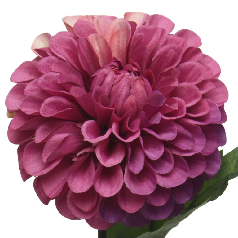 RAMO DHALIA D10H75CM     MAGENTA 2