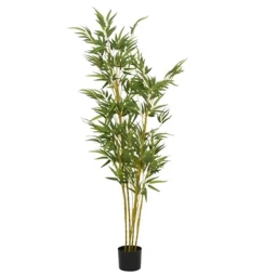 PIANTA BAMBOO IN VASO    H150CM