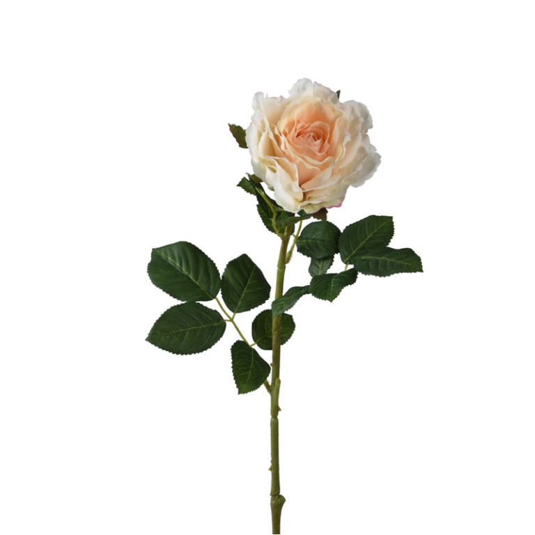 ROSA FIORE H71CM PESCA