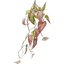RAMO POTHOS 10X10H91CM   VERDE ROSA
