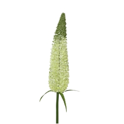 RAMO IN FIORE H79CM VERDE