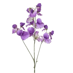 RAMO FIORE PISELLO H76CM VIOLA