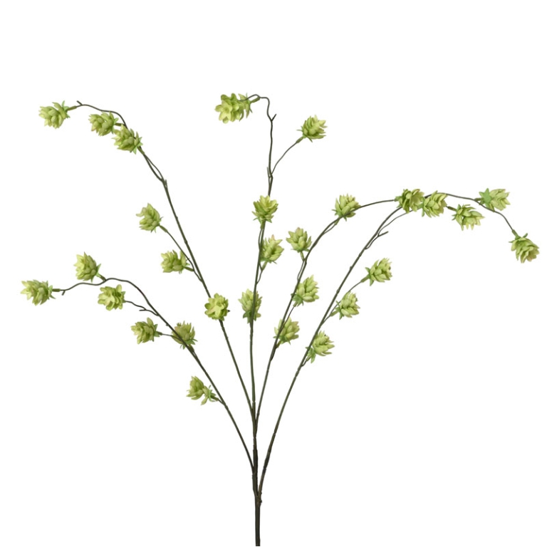 RAMO FIORE LUPPOLO H96CM VERDE LIME