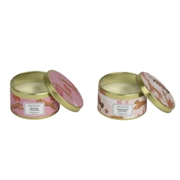 CANDELA PROFUMATA LATTA  SOGGETTI ASSORTITI