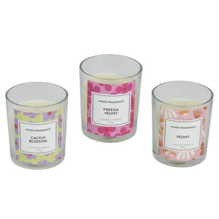 CANDELA PROFUMATA D8CM   SOGGETTI ASSORTITI