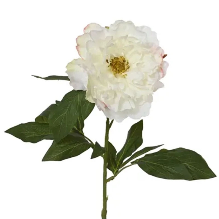 RAMO FIORE PEONIA H70CM  CREMA