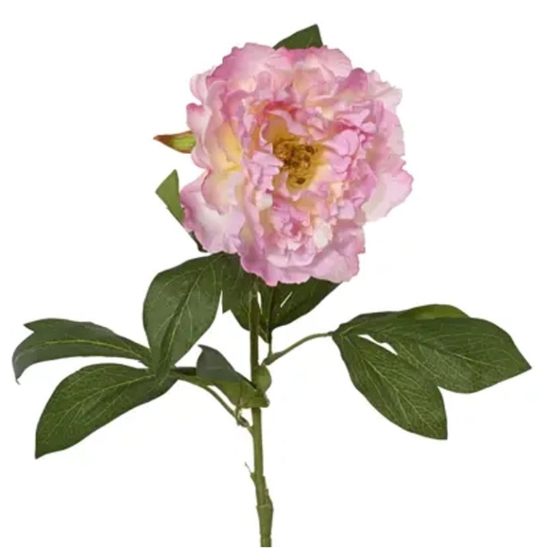 RAMO FIORE PEONIA H70CM  ROSA TENUE