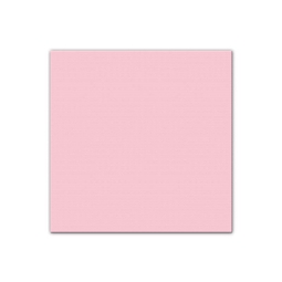 TOVAGLIOLI 33X33CM 25PZ  2 VELI ROSA