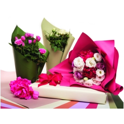 BOBINA PPL 100CMX25MT F/P ELEGANCE ELITE CIPRIA