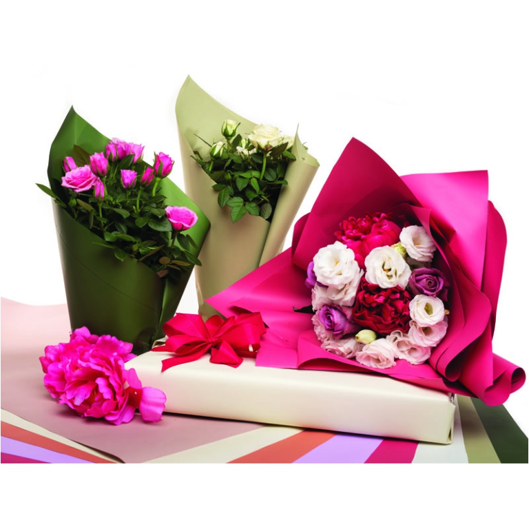 BOBINA PPL 100CMX25MT F/P ELEGANCE ELITE CIPRIA