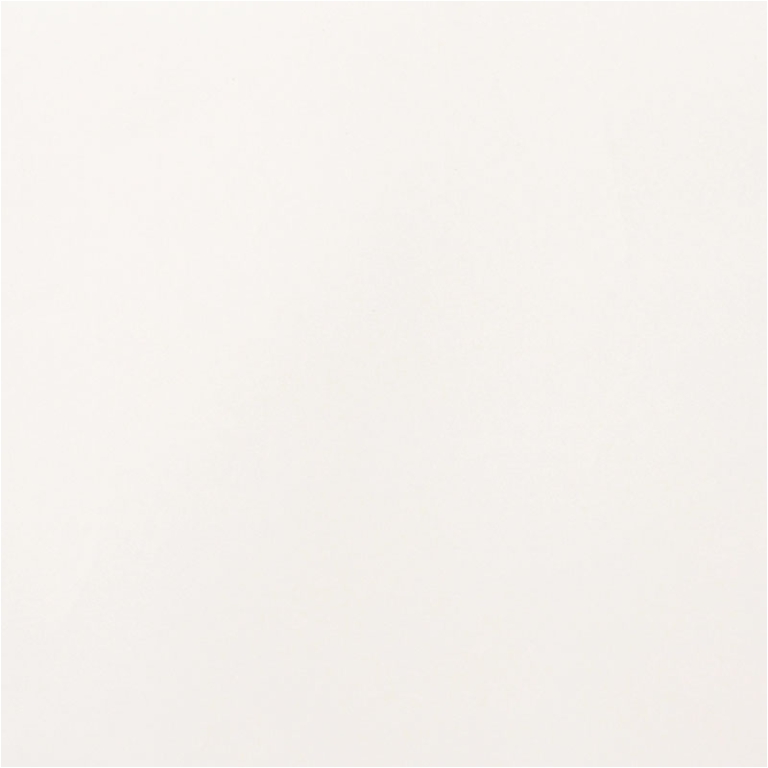 BOBINA PPL 100CMX25MT F/P ELEGANCE ELITE BIANCO