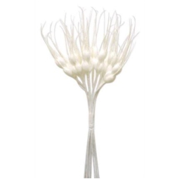 SPIGHE DI GRANO BIANCO   NATURALE 18CM 6PZ